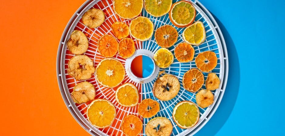 Excalibur 9-Tray Dehydrator Review: Worth $300 for Drying Mushrooms?
