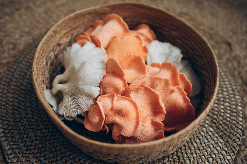 GroCycle Organic Oyster Mushroom Growing Kit